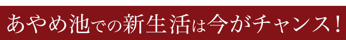 年に一度のBIGチャンス！