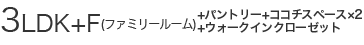 3LDK+F+パントリー+ココチスペース×2+ウォークインクローゼット