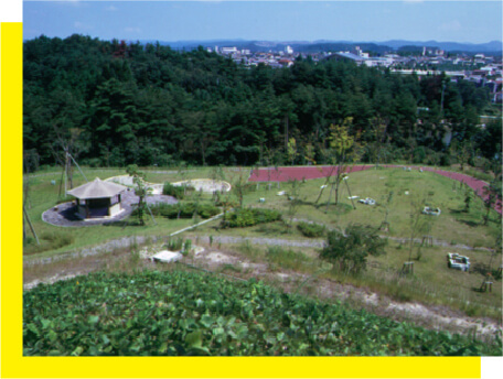 野鳥公園